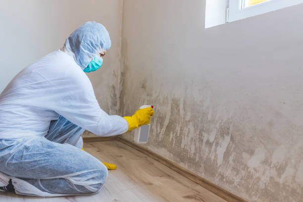 Crawl Space Mold Remediation treatment of floor joists in Montgomeryville