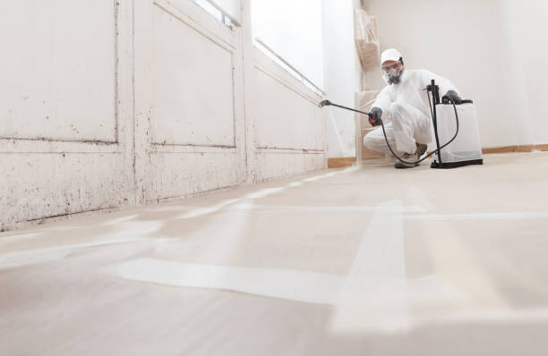Black mold remediation team in Montgomeryville